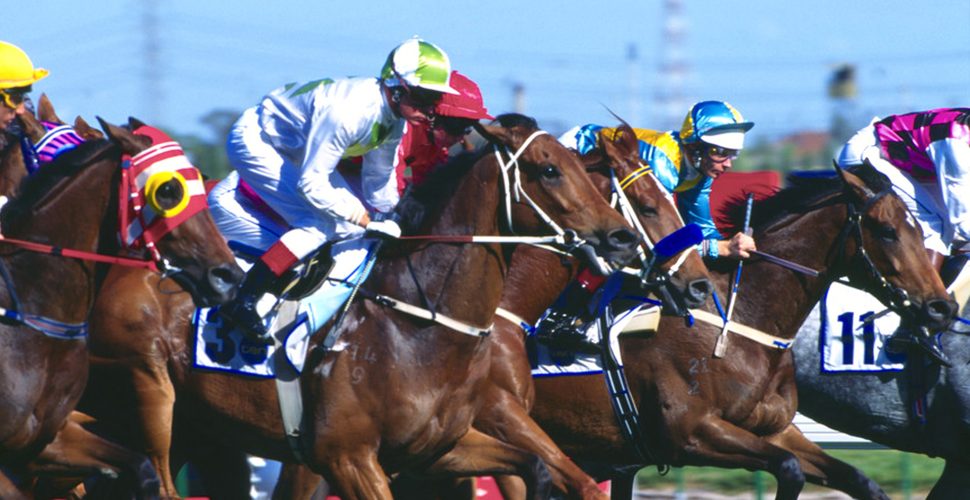 melbourne-cup-bel-air-large